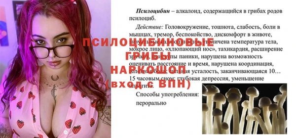 СК Белокуриха