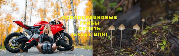 соль ск Балахна