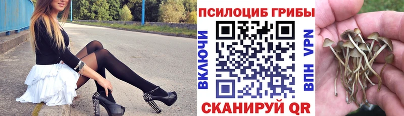 darknet состав  Высоковск  Галлюциногенные грибы Psilocybe 